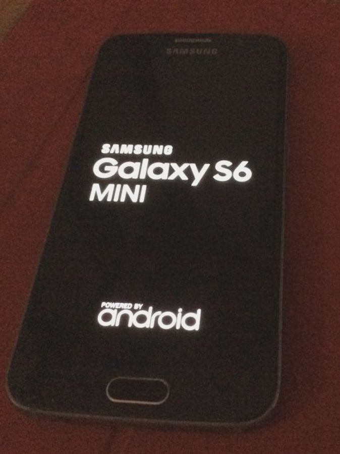 Samsung-Galaxy-S6-Mini2